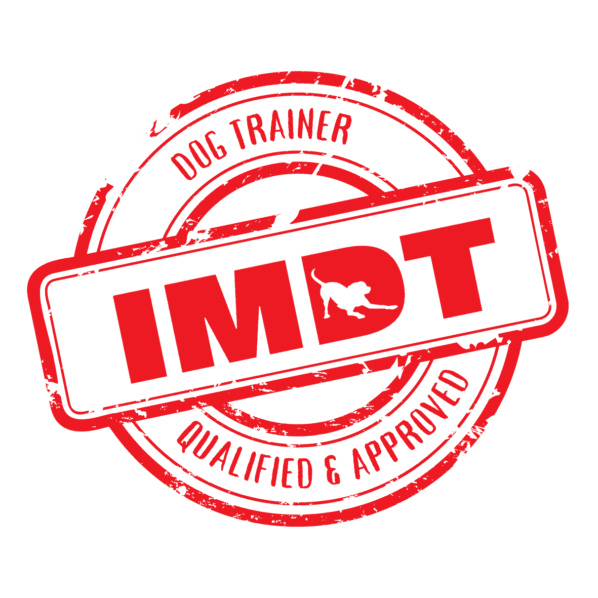 IMDT Logo