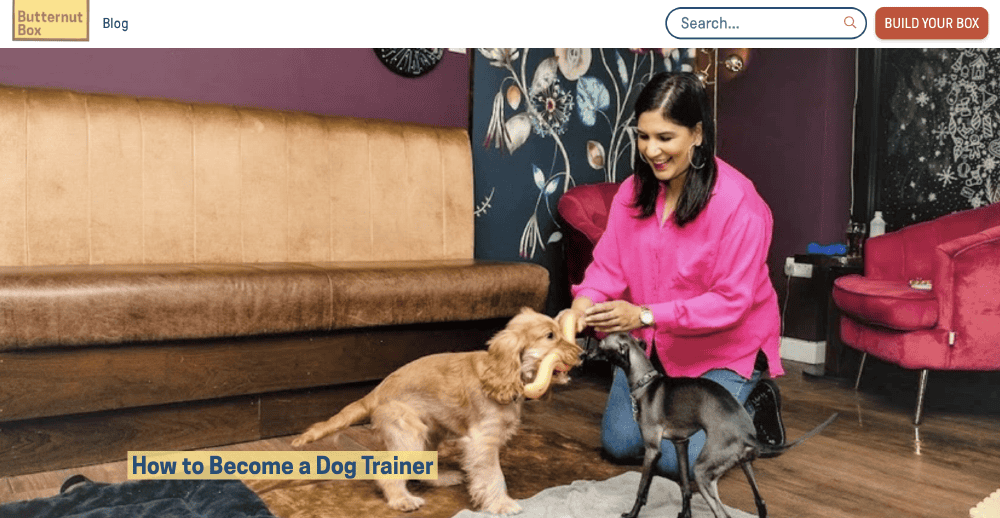 Become a dog trainer blog