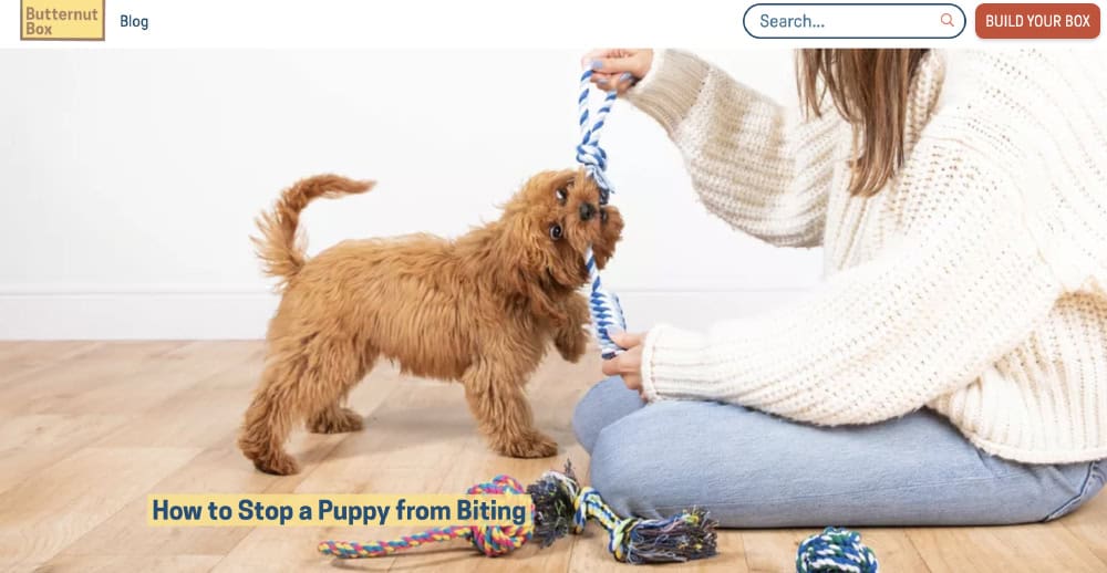 How to stop a puppy from biting